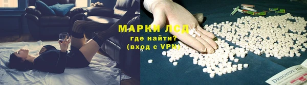 прущие грибы Беломорск
