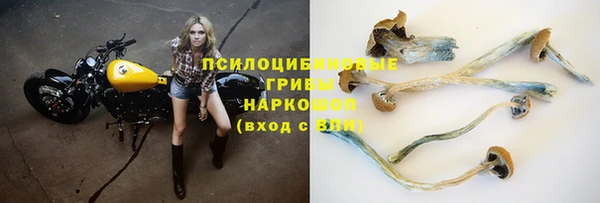 таблы Сосновоборск