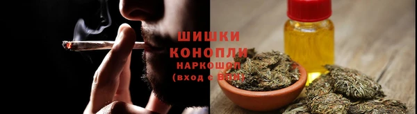 прущие грибы Беломорск