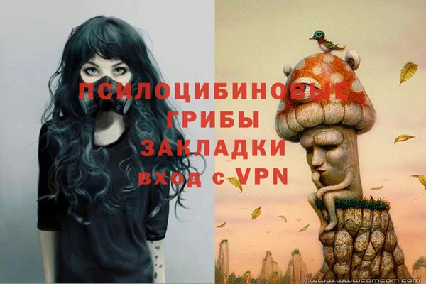 прущие грибы Беломорск