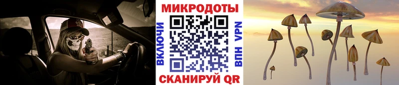 Купить где  Амурск  Псилоцибиновые грибы ЛСД 